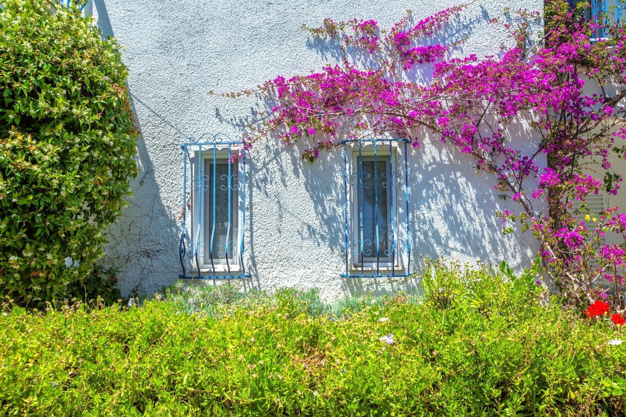 Apartment Xenios Faros *